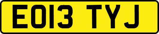 EO13TYJ