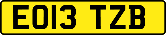 EO13TZB