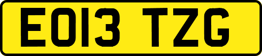 EO13TZG