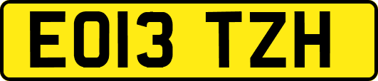 EO13TZH