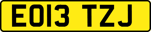 EO13TZJ