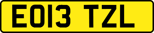 EO13TZL