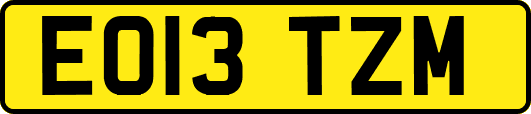 EO13TZM