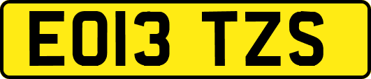 EO13TZS