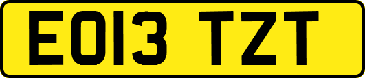 EO13TZT