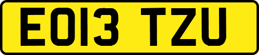 EO13TZU