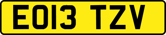 EO13TZV