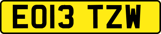 EO13TZW