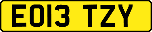EO13TZY