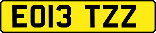EO13TZZ