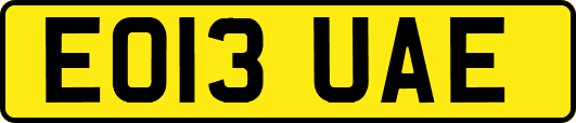 EO13UAE