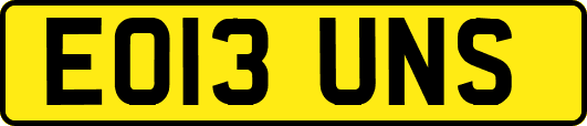 EO13UNS
