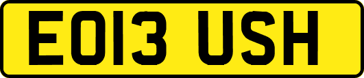 EO13USH
