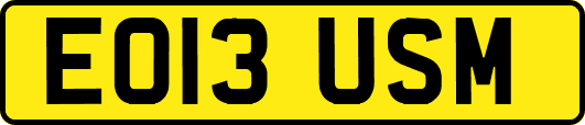EO13USM