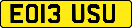 EO13USU