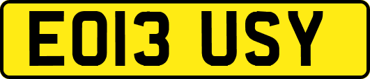 EO13USY