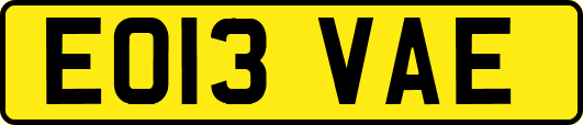 EO13VAE