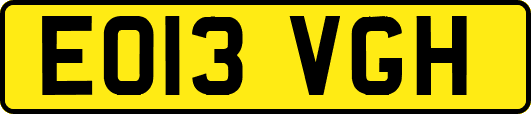 EO13VGH