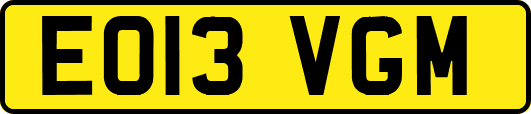 EO13VGM