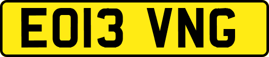 EO13VNG