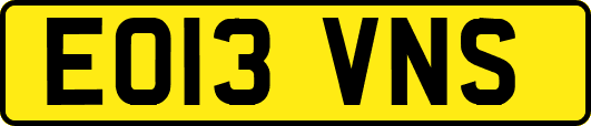 EO13VNS