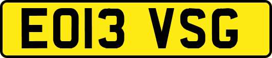 EO13VSG