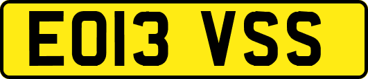 EO13VSS