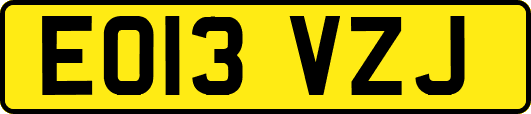 EO13VZJ