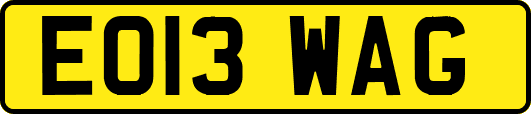 EO13WAG