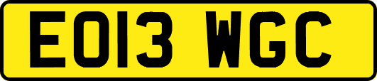 EO13WGC