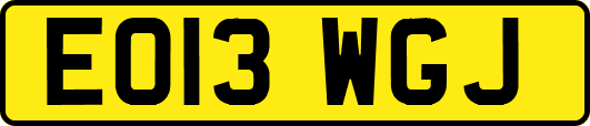 EO13WGJ