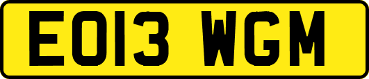 EO13WGM