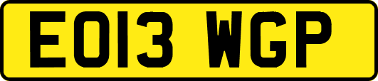 EO13WGP