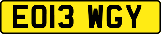 EO13WGY