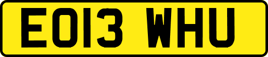 EO13WHU