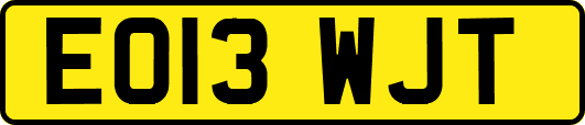 EO13WJT