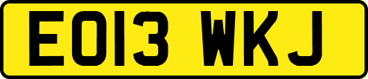 EO13WKJ
