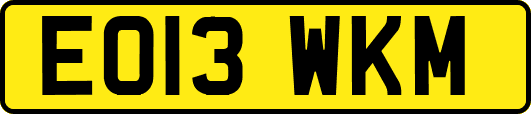 EO13WKM