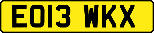 EO13WKX