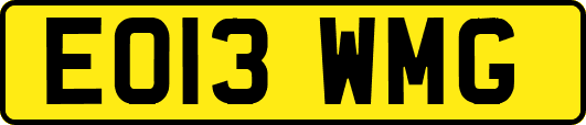 EO13WMG
