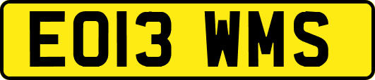 EO13WMS