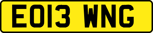 EO13WNG