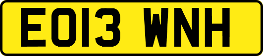 EO13WNH