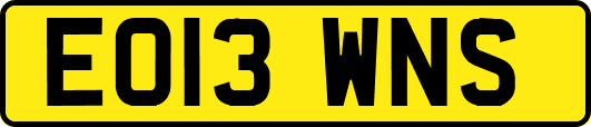 EO13WNS