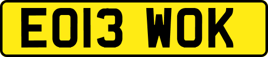 EO13WOK