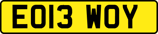 EO13WOY