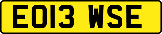EO13WSE