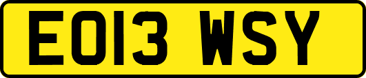 EO13WSY