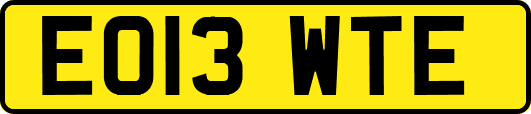EO13WTE