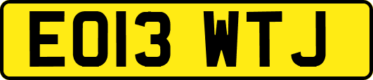 EO13WTJ